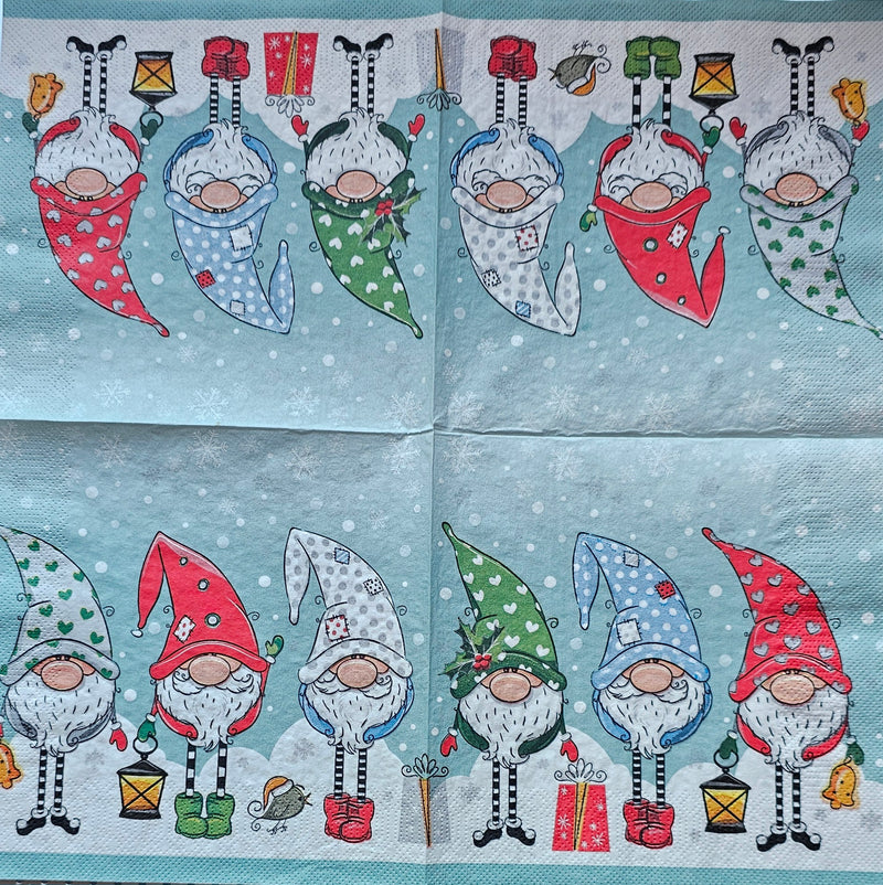 Funny Gnomes