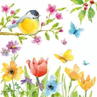 Spring Bird