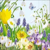 Blumenwiese