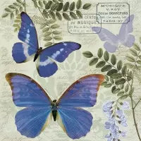 Blue Morpho