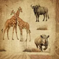 African Savanna