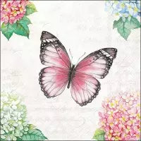 Schmetterling