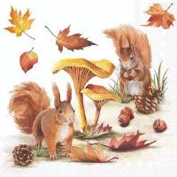 Eichhörnchen
