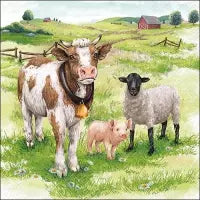Farm Animals
