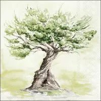 Olivenbaum