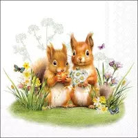 Eichhörnchen