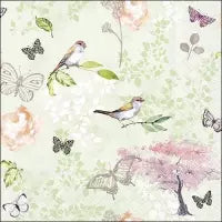 Birds  and Butterflies