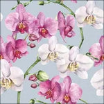 Lila und weiße Orchideen