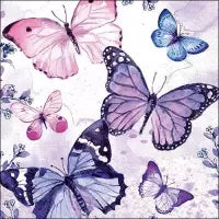 Schmetterling