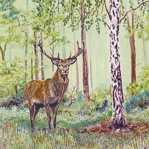 Wild Deer Hirsch