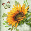 Sonnenblume