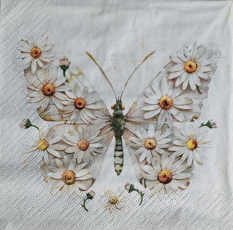 Schmetterling