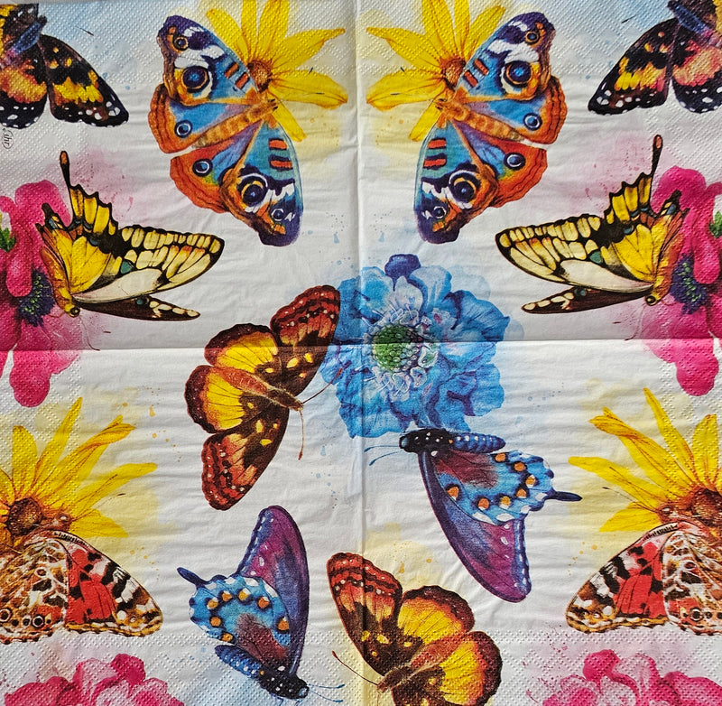 Schmetterlinge