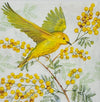 Joy of Springs
