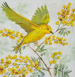 Joy of Springs