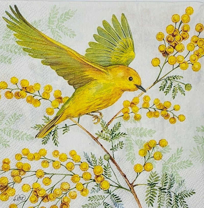 Joy of Springs