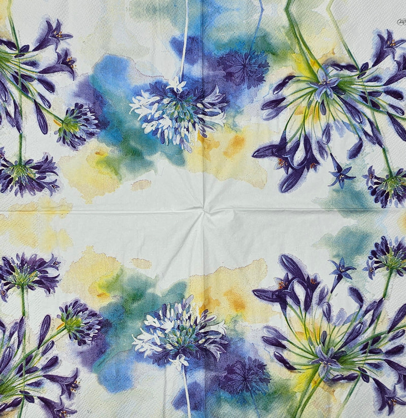 Schmucklilien