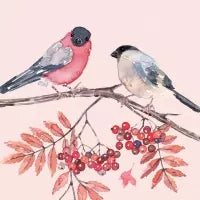 Joy Birds