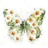 Schmetterling