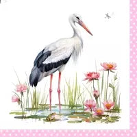 Storch Rosa
