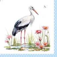 Storch Blau