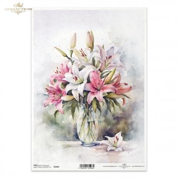 Lilien