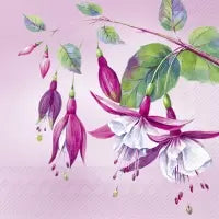 Luisa Pink