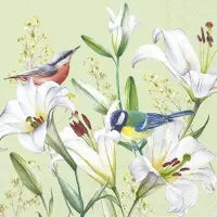 Lilien