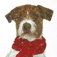 Hund mit Schal