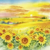 Sonnenblumen