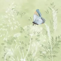 Schmetterlinge green