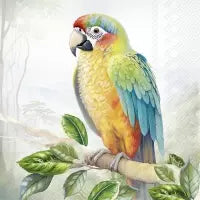 Papagei