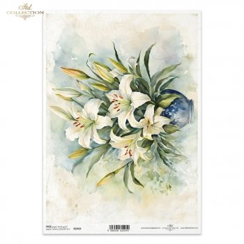 Lilien