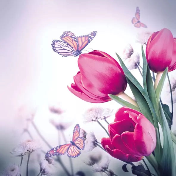 Butterflies &amp; Tulips