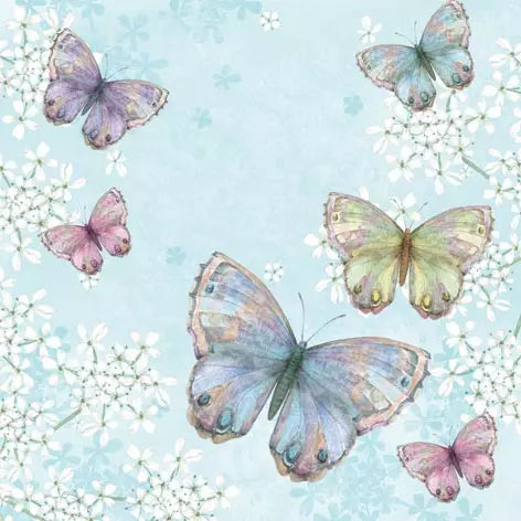 Bellissima Farfalla Schmetterlinge