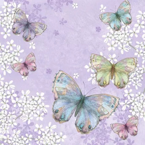 Belissima Farfalla Schmetterlinge