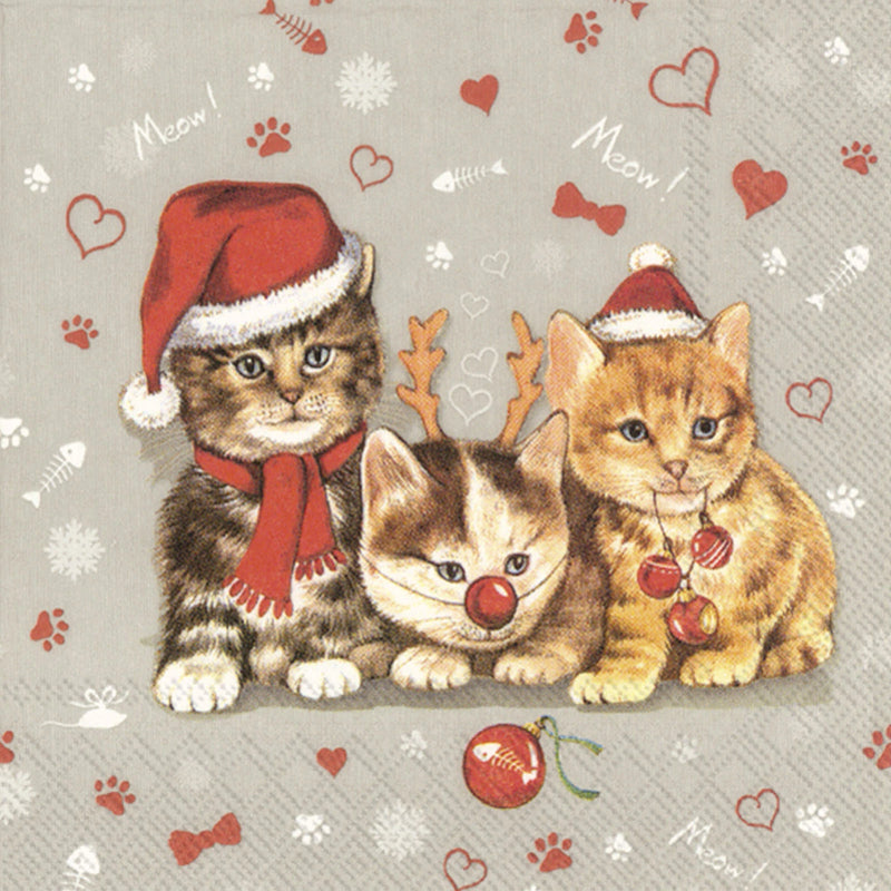 Katzen