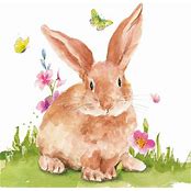 Mr. Rabbit