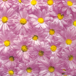 Primavera para siempre