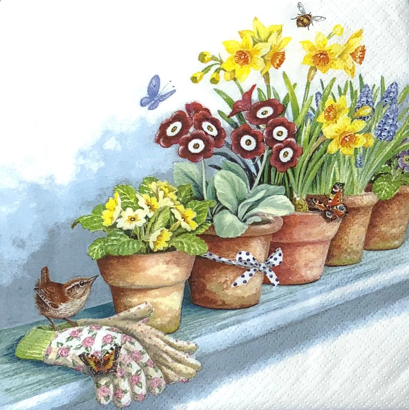 Flower pots with butterflies and little birds