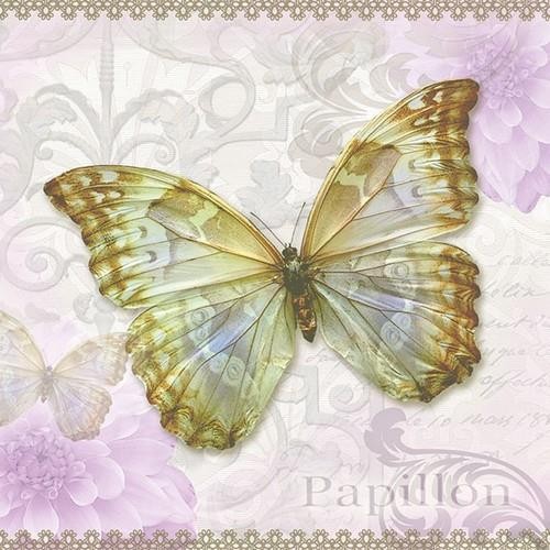 Papillon butterfly