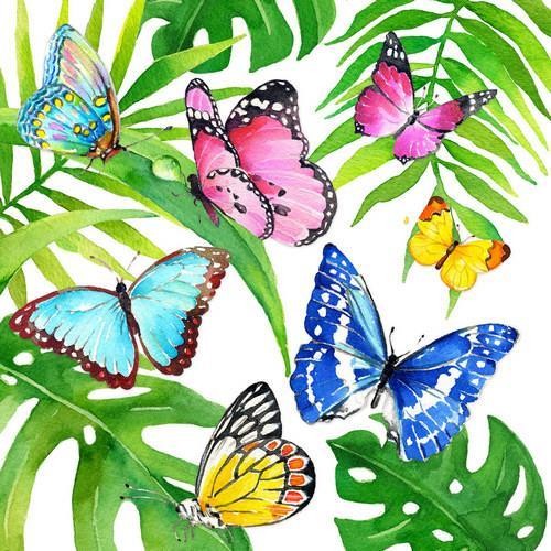 Tropical Butterflies