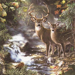 Deers on a creek - Hirsch am Bach