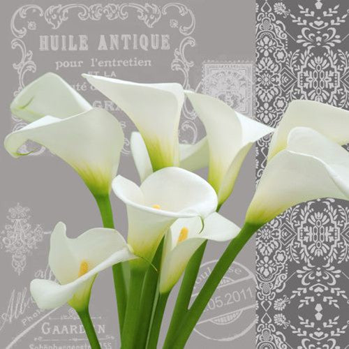 Vintage calla lilies