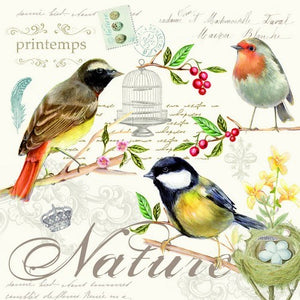 Aves en carta vintage