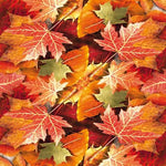 Maple Leaves - maple leaves