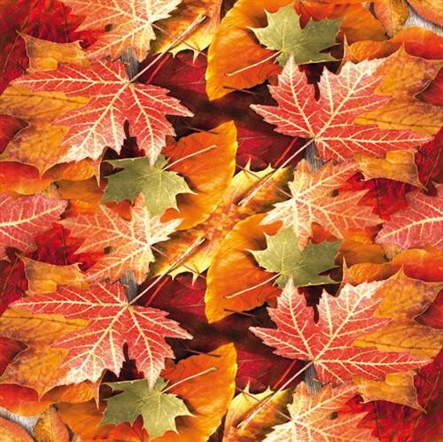 Maple Leaves - Ahornblätter
