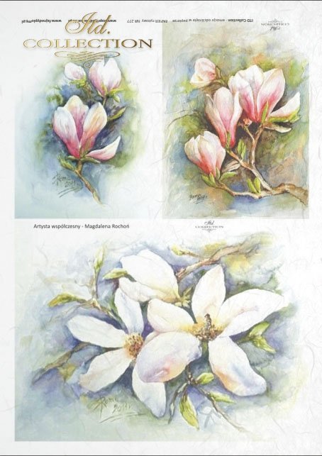 Magnolias de Magdalena Rochón