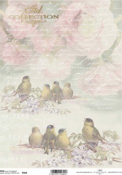 Singende Vögel