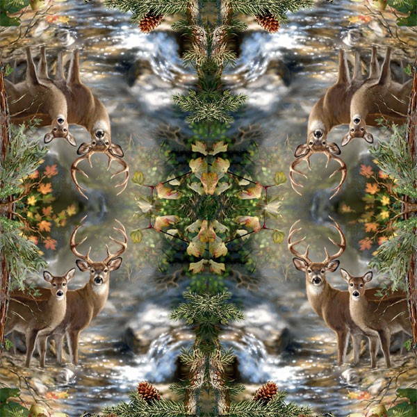 Ciervos en un arroyo - ciervos junto al arroyo